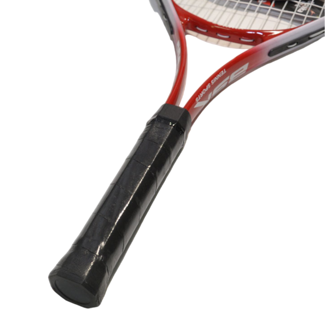 Теннисная ракетка Basheek Pro 689