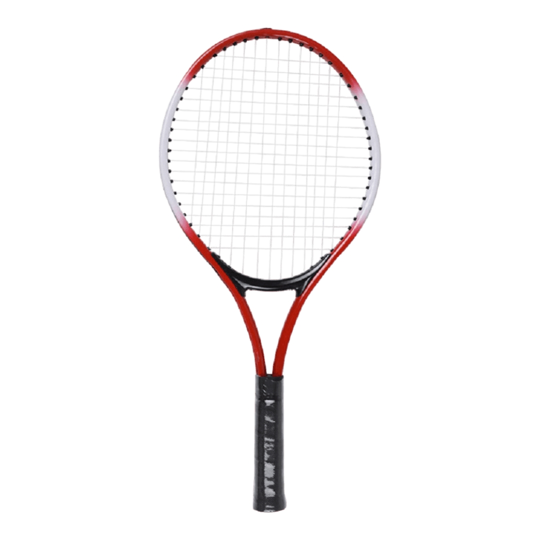 Теннисная ракетка Basheek Pro 689 - Riada
